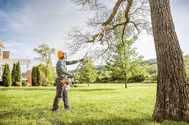 How Our Tree Care Process Works  in  Marysville, PA